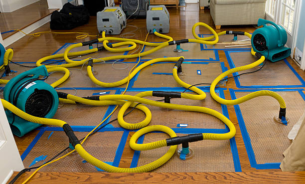 Professional Emergency Water Removal technician working in Lewisville, IN